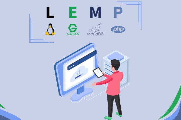 install lemp on ubuntu 24.04