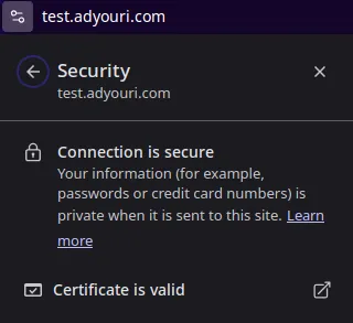 https connection